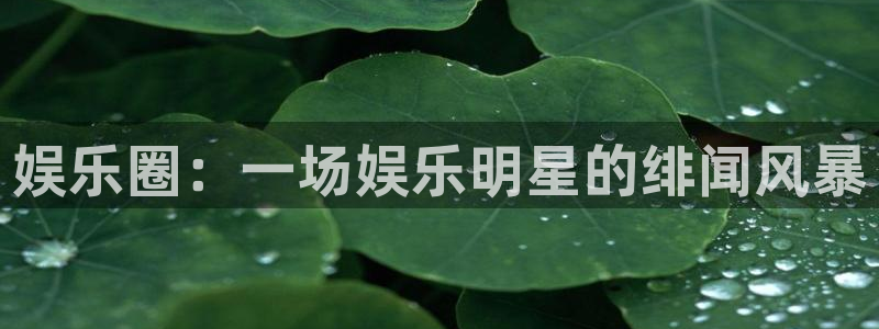 开丰娱乐：娱乐圈：一场娱乐明星的绯闻风暴