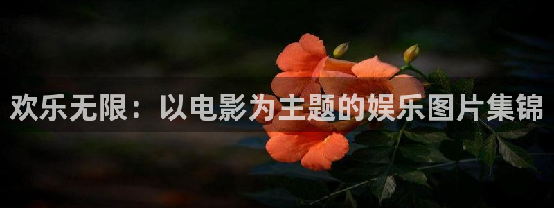 开丰娱乐地址