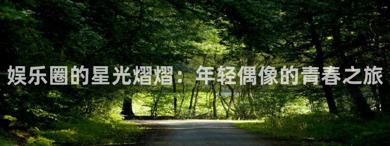开丰娱乐