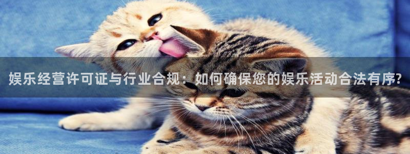 开丰娱乐168：娱乐经营许可证与行业合规：如何确保您的娱乐活动合法有序?