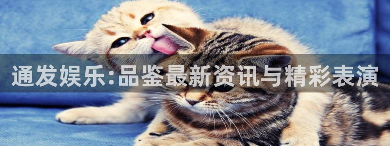 开丰娱乐：通发娱乐:品鉴最新资讯与精彩表演