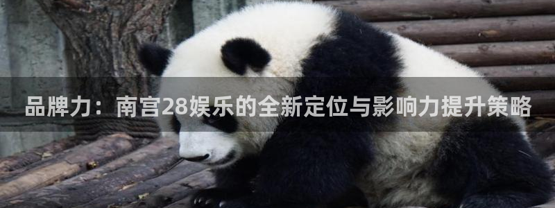 开丰娱乐：品牌力：南宫28娱乐的全新定位与影响力提升策略