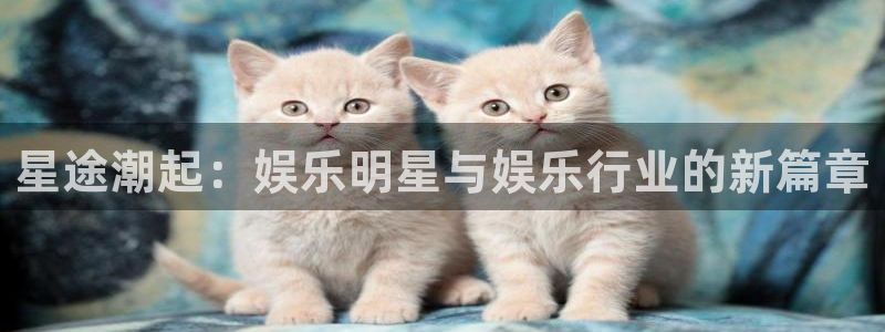 开丰娱乐：星途潮起：娱乐明星与娱乐行业的新篇章