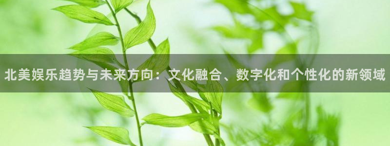 开丰娱乐168：北美娱乐趋势与未来方向：文化融合、数字化和个性化的新领域