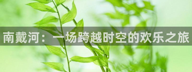开丰娱乐：南戴河：一场跨越时空的欢乐之旅